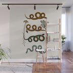 Albertus Seba Baby Breath Snakes  Wall Mural Gallery Image 1