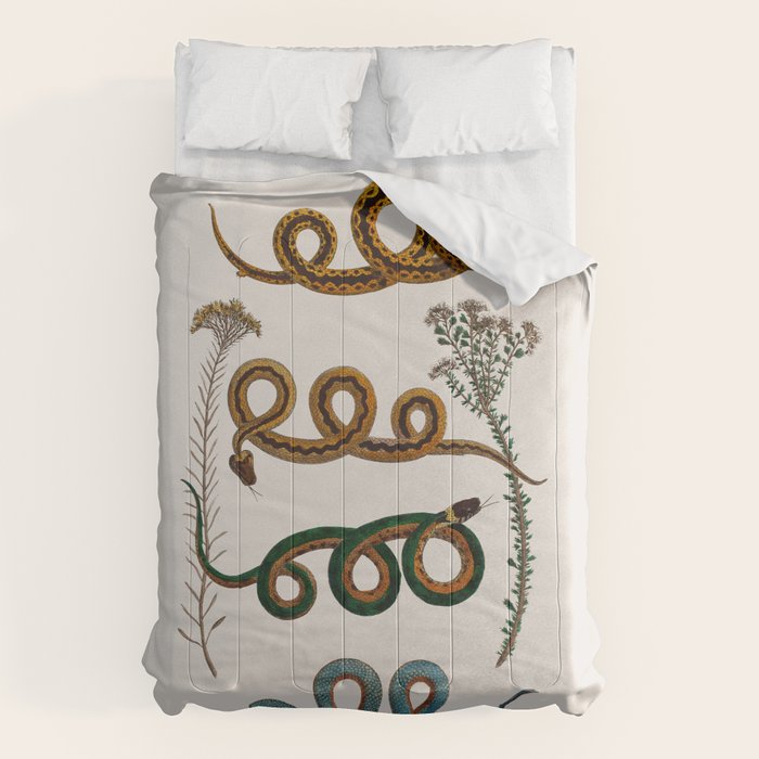 Albertus Seba Baby Breath Snakes  Comforter Gallery Image 6