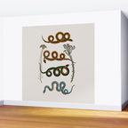 Albertus Seba Baby Breath Snakes  Wall Mural Gallery Image 2
