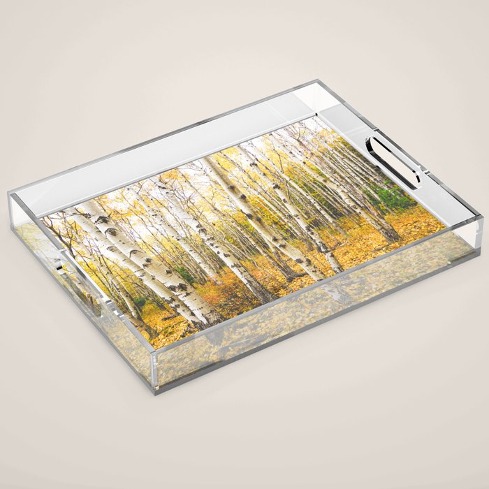 Autumn Birch Forest Acrylic Tray Gallery Image 1