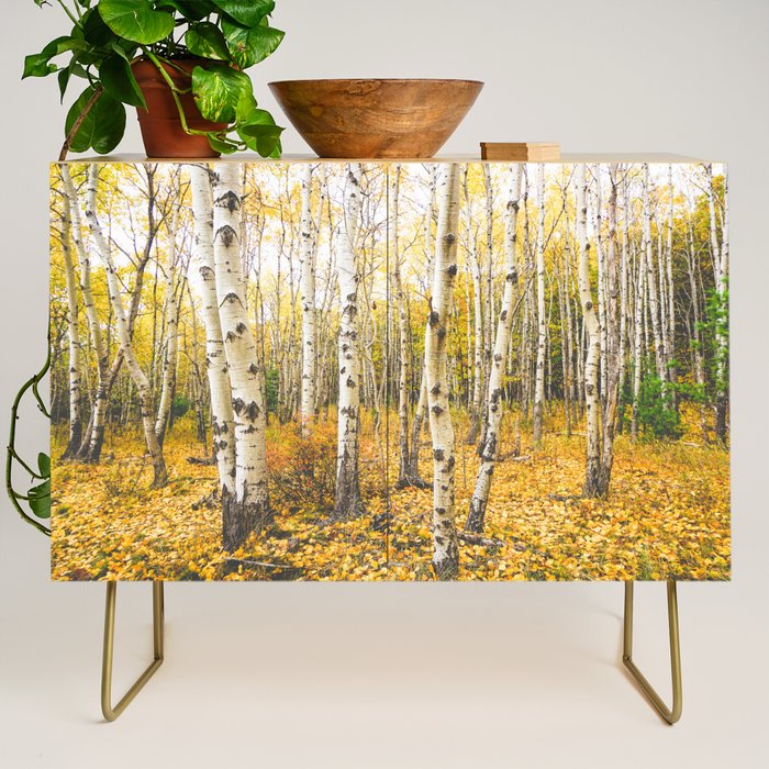 Autumn Birch Forest Credenza Gallery Image 1
