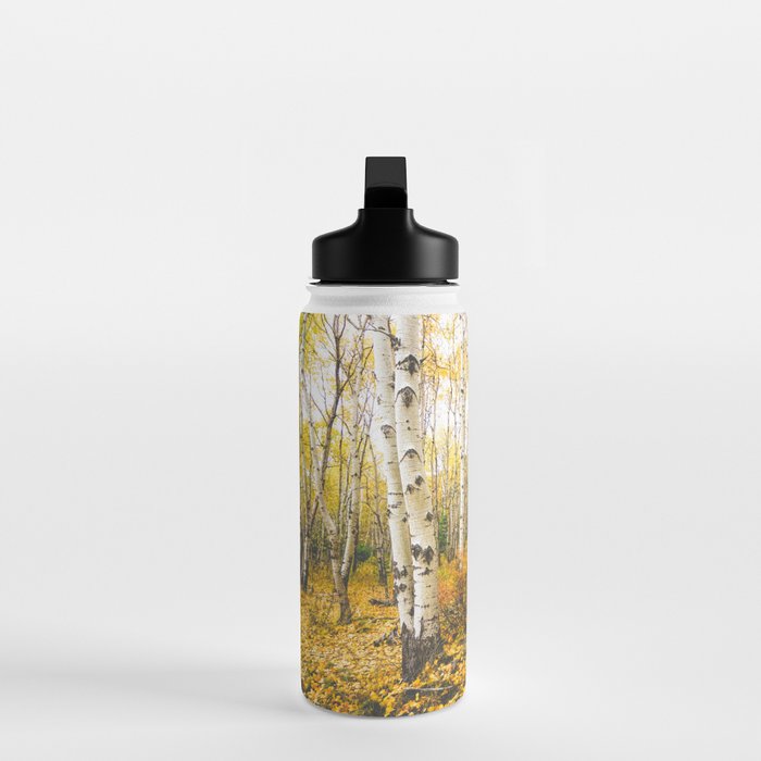 Autumn Birch Forest Water Bottle Gallery Image 3
