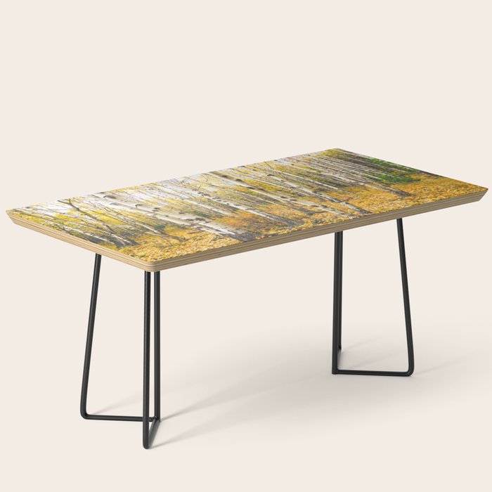 Autumn Birch Forest Coffee Table Gallery Image 1