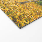 Autumn Birch Forest Welcome Mat Gallery Image 2