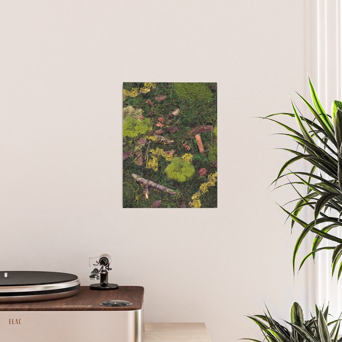 Forest Floor Poster Gallery Image 2
