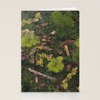 Forest Floor Stationery Card Gallery Image 2