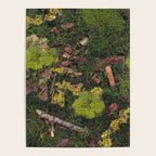 Forest Floor Poster Gallery Image 4