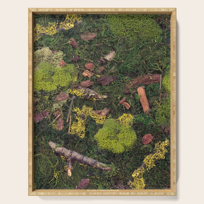 Forest Floor Serving Tray Gallery Image 1