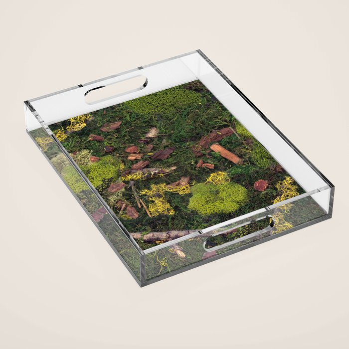 Forest Floor Acrylic Tray Gallery Image 1