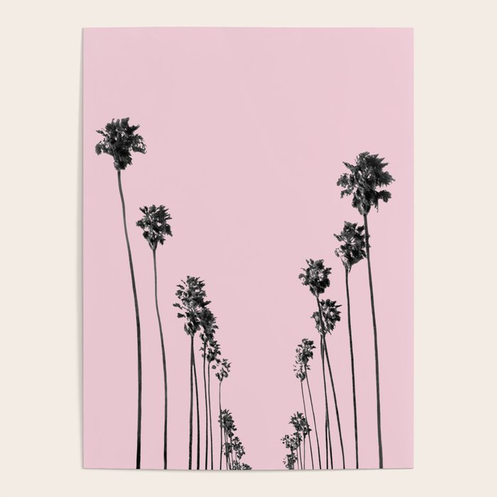 Palm trees 13 Poster Gallery Image 1