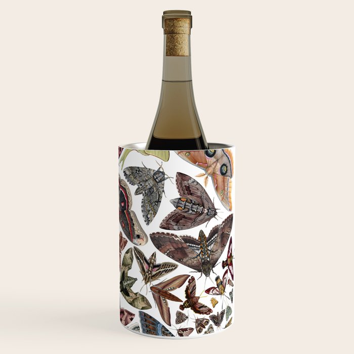 Moths of North America Wine Chiller Gallery Image 3