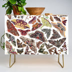 Moths of North America Credenza Gallery Image 1