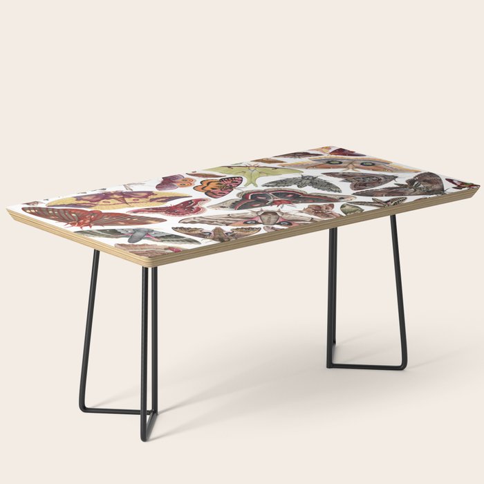 Moths of North America Coffee Table Gallery Image 1