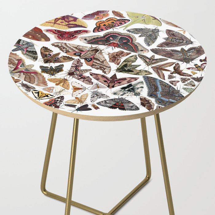 Moths of North America Side Table Gallery Image 2