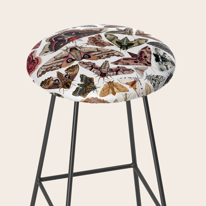 Moths of North America Stool Gallery Image 2