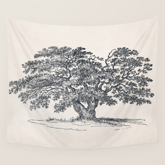 Wide Oak Tree Sketch Wall Tapestry Gallery Image 1