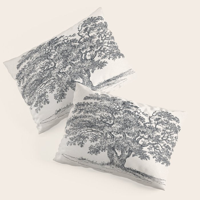 Wide Oak Tree Sketch Pillow Sham Gallery Image 3