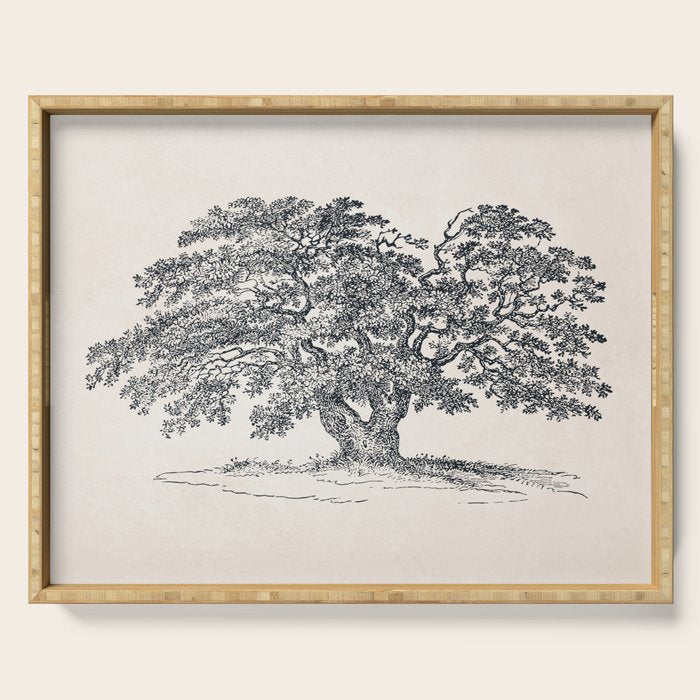 Wide Oak Tree Sketch Serving Tray Gallery Image 1