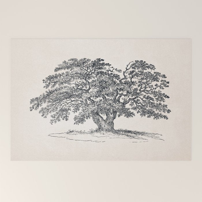 Wide Oak Tree Sketch Welcome Mat Gallery Image 2