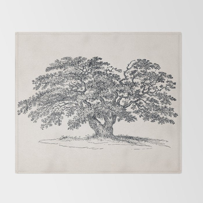 Wide Oak Tree Sketch Throw Blanket Gallery Image 2