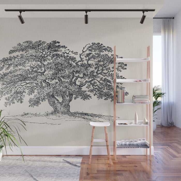 Wide Oak Tree Sketch Wall Mural Gallery Image 1