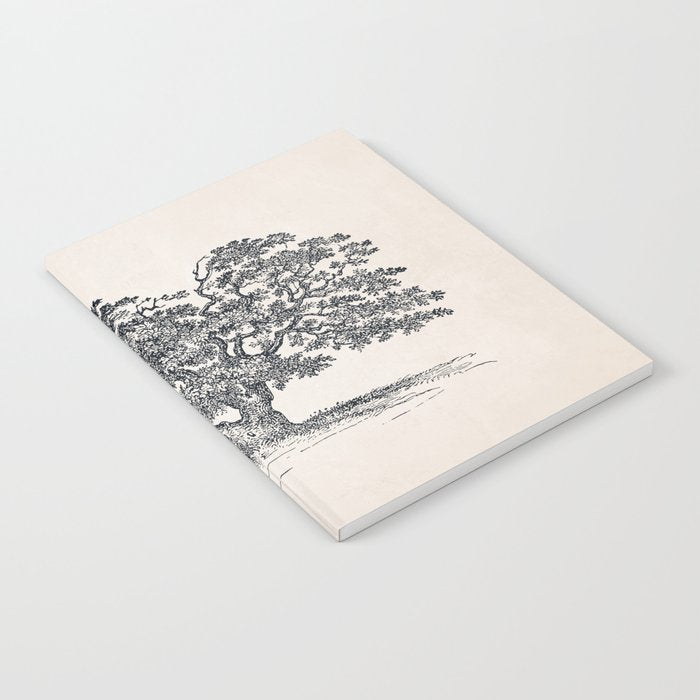 Wide Oak Tree Sketch Notebook Gallery Image 1