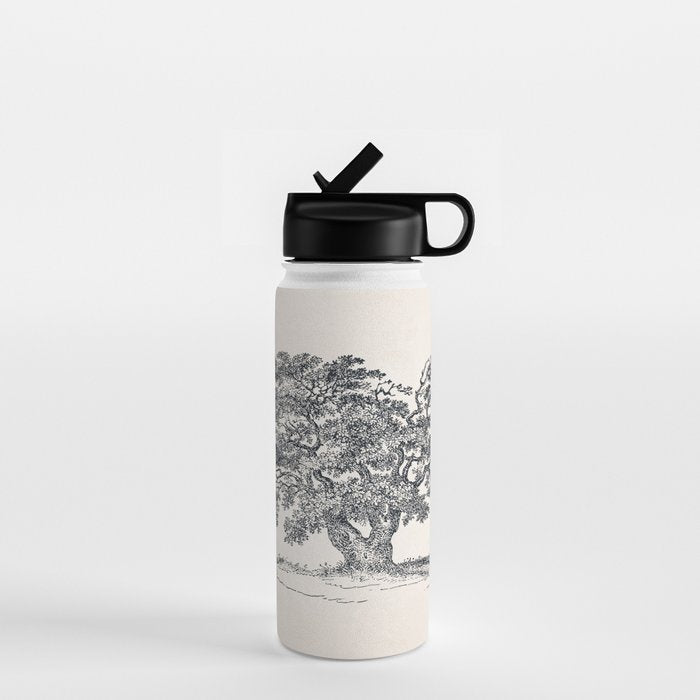 Wide Oak Tree Sketch Water Bottle Gallery Image 1