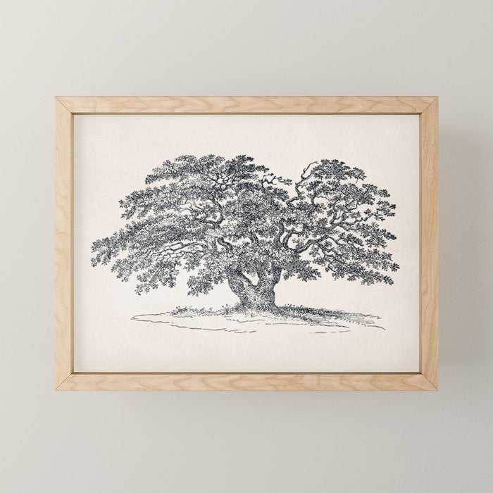 Wide Oak Tree Sketch Mini Art Print Gallery Image 1