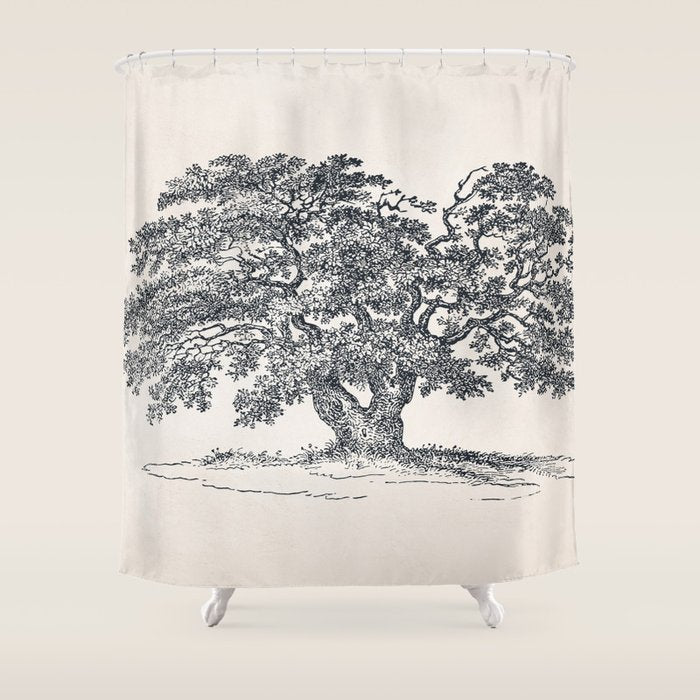 Wide Oak Tree Sketch Shower Curtain Gallery Image 1
