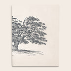 Wide Oak Tree Sketch Notebook Gallery Image 4