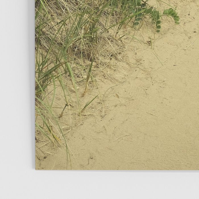 path to the beach - coastal nature photograph Poster Gallery Image 3