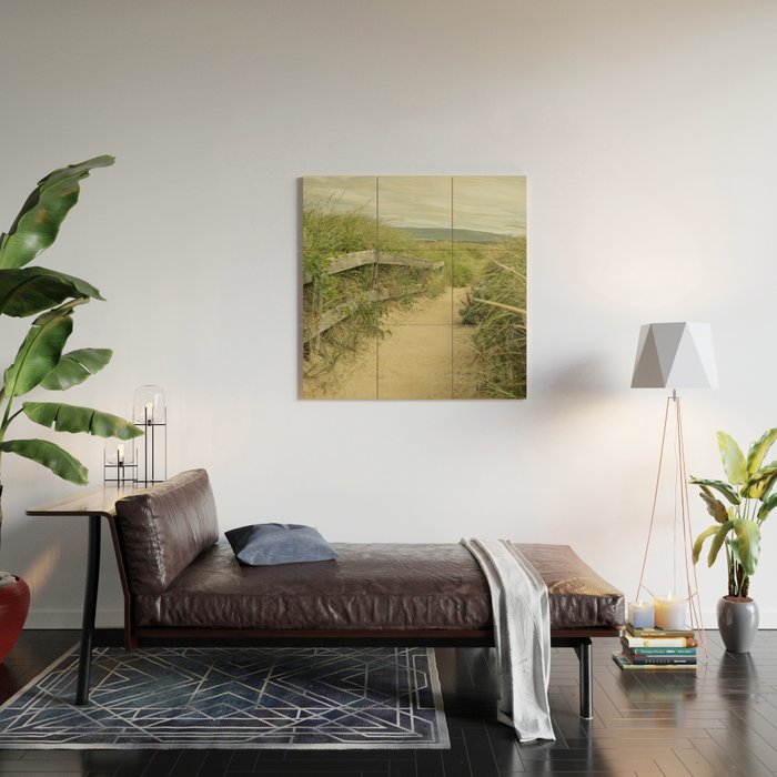 path to the beach - coastal nature photograph Wood Wall Art Gallery Image 2