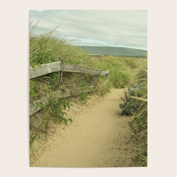 path to the beach - coastal nature photograph Poster Gallery Image 4