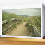 path to the beach - coastal nature photograph Wall Mural Gallery Image 2