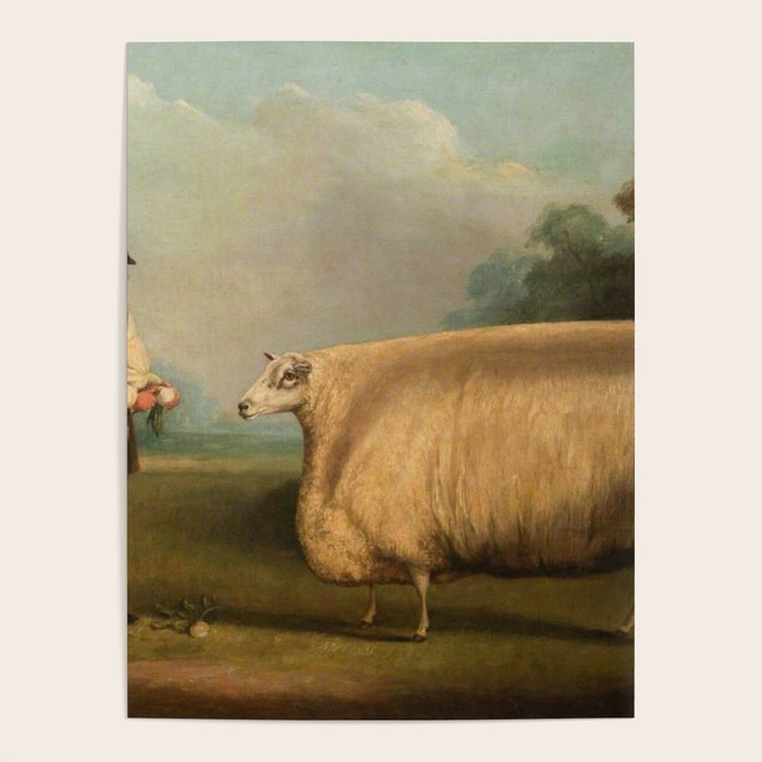 Comically large sheep - Vintage Dutch painting Poster Gallery Image 4