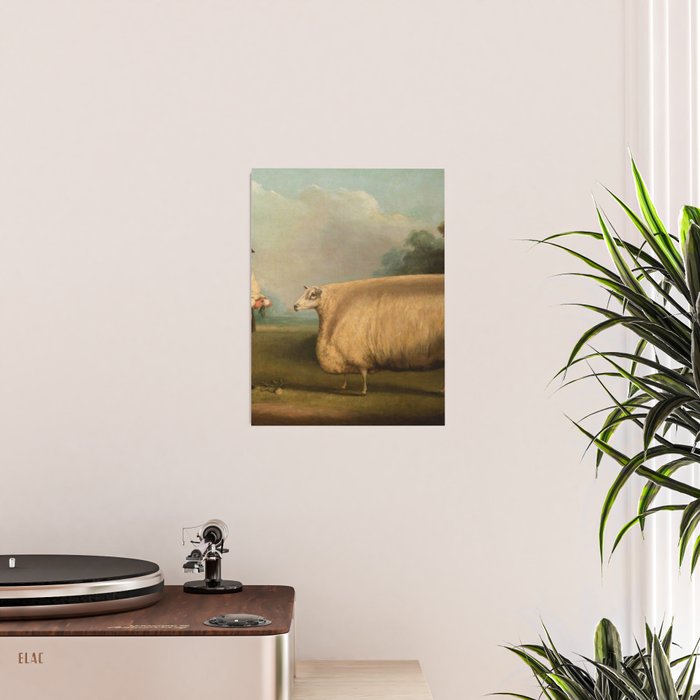 Comically large sheep - Vintage Dutch painting Poster Gallery Image 2