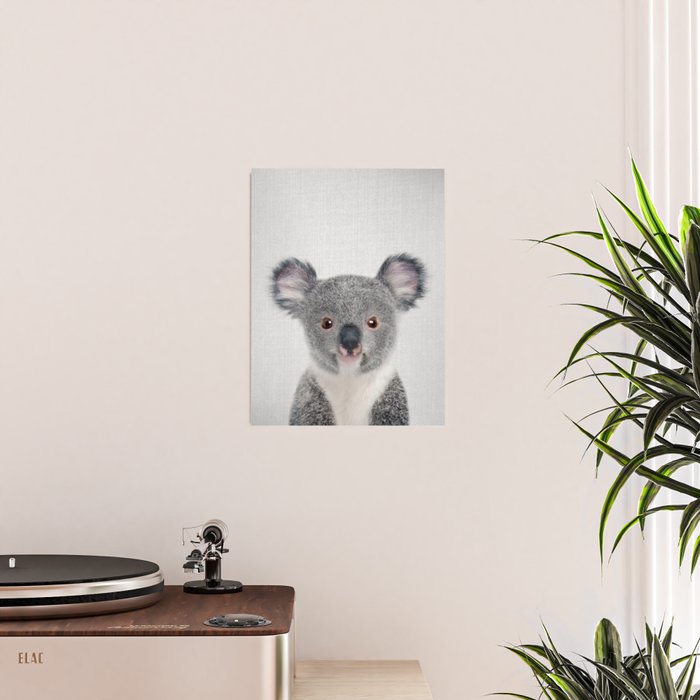 Baby Koala - Colorful Poster Gallery Image 2