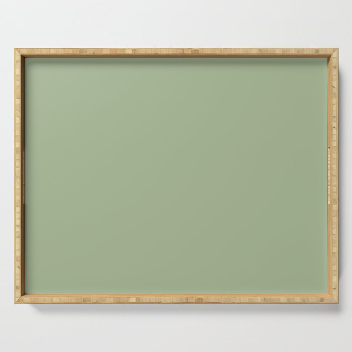 Sea Green Solid Matte Colour Blocks Serving Tray Gallery Image 1