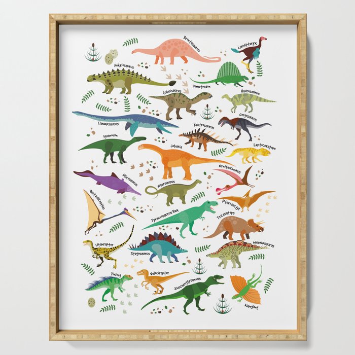 Types of Dinosaurs Alphabet Serving Tray Gallery Image 1