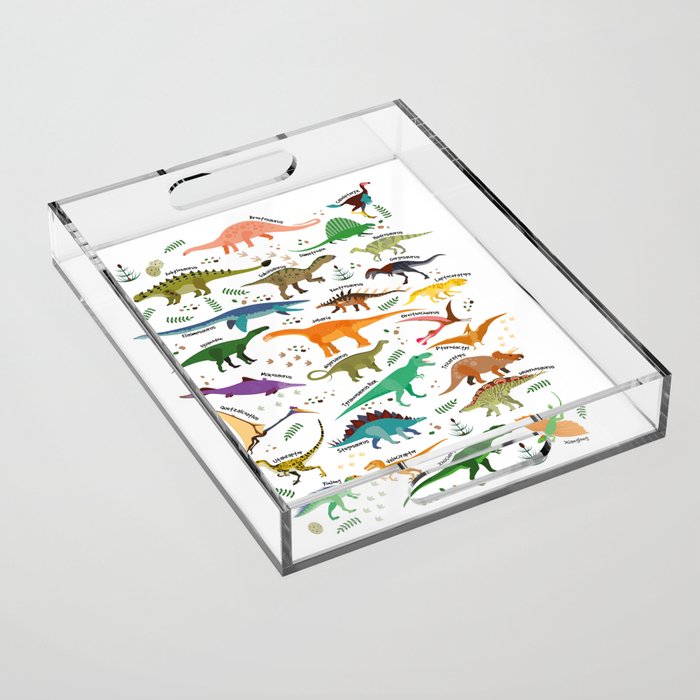 Types of Dinosaurs Alphabet Acrylic Tray Gallery Image 1