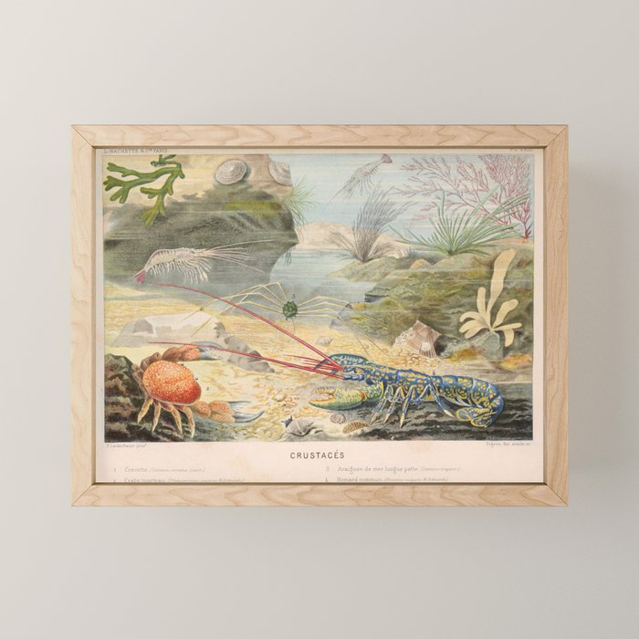 Lobster and crab from "Le Monde de la Mer," 1866 (benefitting The Nature Conservancy) Mini Art Print Gallery Image 1