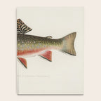 Trout fish Notebook Gallery Image 4
