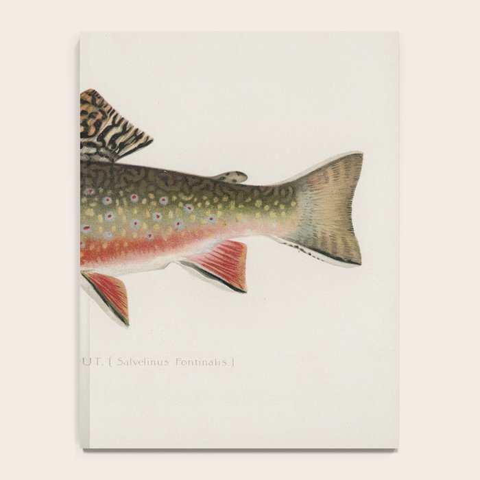 Trout fish Notebook Gallery Image 4