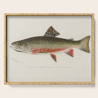 Trout fish Serving Tray Gallery Image 1