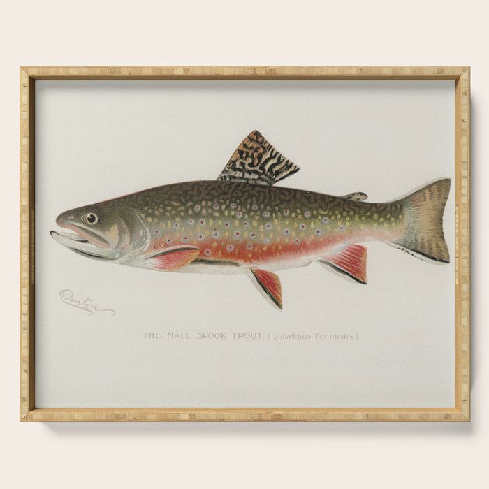 Trout fish Serving Tray Gallery Image 1