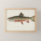 Trout fish Mini Art Print Gallery Image 1
