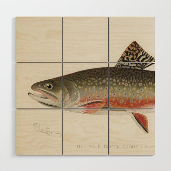 Trout fish Wood Wall Art Gallery Image 1