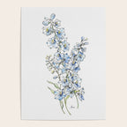 Blue Delphinium Flowers Poster Gallery Image 4