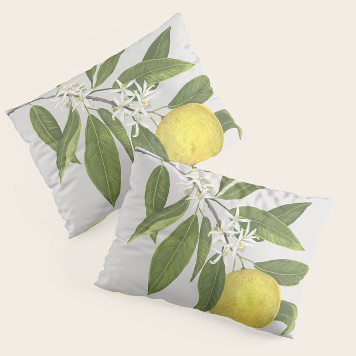 Lemon Tree Pillow Sham Gallery Image 3