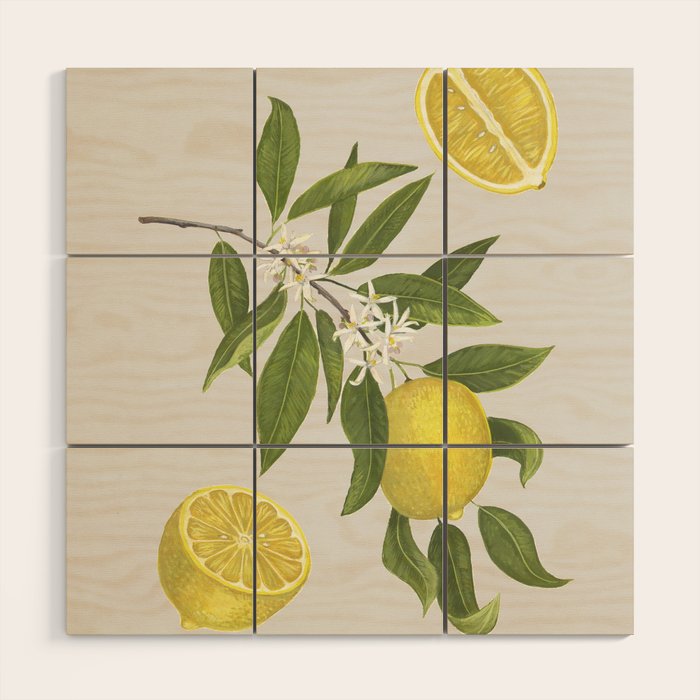 Lemon Tree Wood Wall Art Gallery Image 1